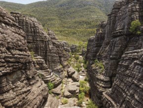 Victoria’s Own Grand Canyon Is A 3.5 Hour Drive From Melbourne