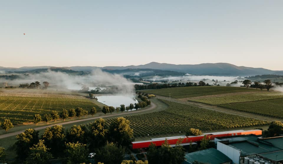 5 Victorian Wine Producers Made It To The Top 10 In Halliday’s Top 100 Wineries List