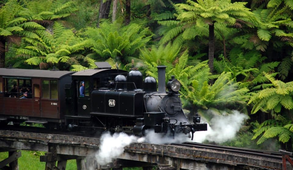 15 Enchanting Things To Do In The Dandenong Ranges