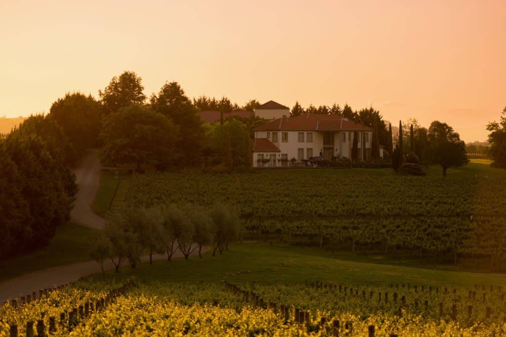a view of Tokar Estate and the vineyard at sunset